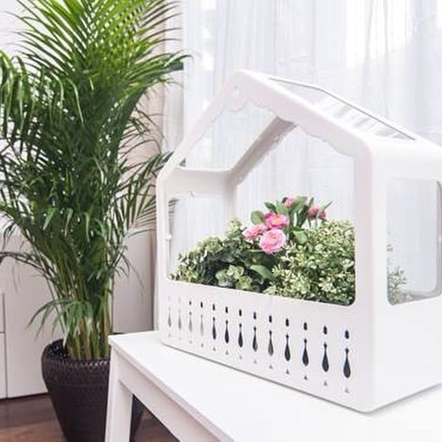El nuevo mini invernadero de #ikea es monísimo...  Puedes completarlo con plantitas artificiales #fejka. #proyectoViaAugusta #livingroom #salon #lowcost #interiordesign